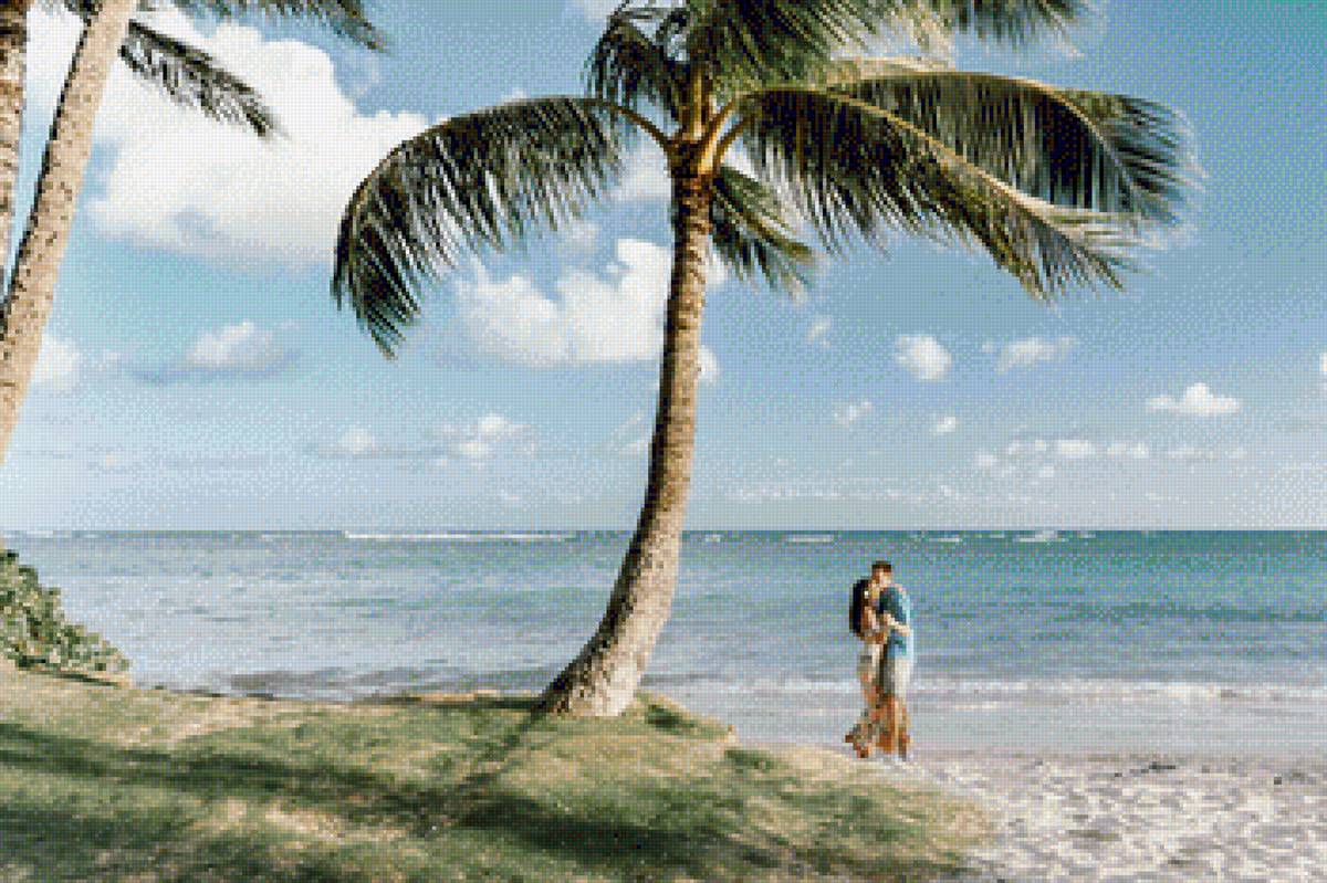 Гавайи - гавайи, пляж, пальмы, пара - предпросмотр