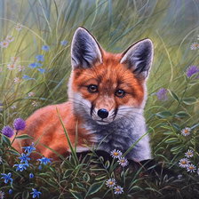 Схема вышивки «№2142120»