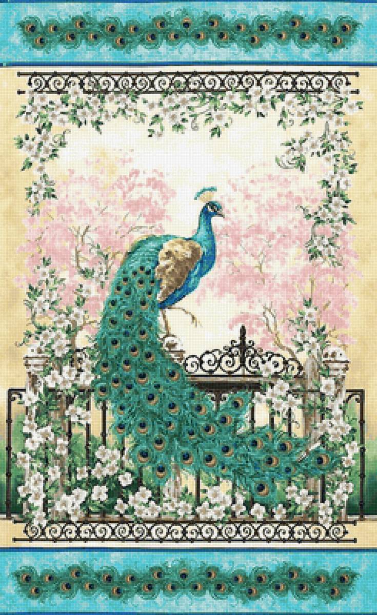 павлин - птица, павлин - предпросмотр