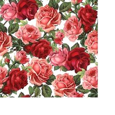 Схема вышивки «339х337»