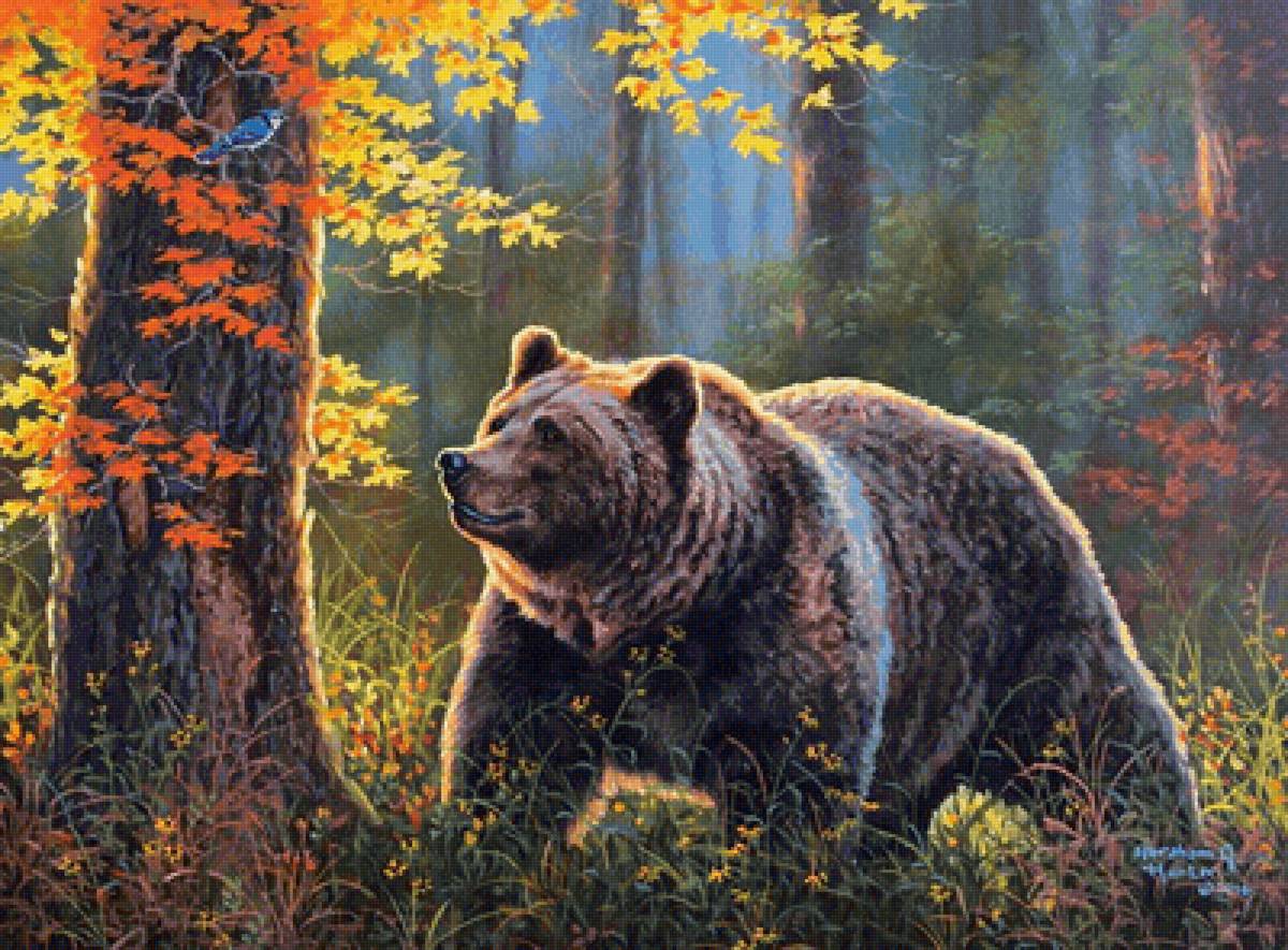 №2142520 - лес, птичка, дерево, мкдведь - предпросмотр