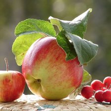 Схема вышивки «Яблоки»