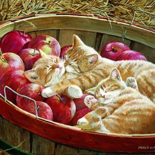 Схема вышивки «№2142906»