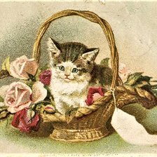 Схема вышивки «№2143018»