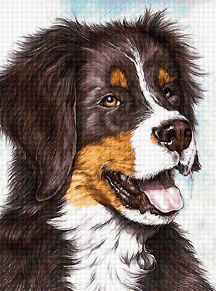 рисунок - предпросмотр