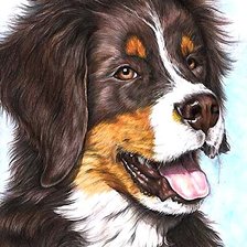 Схема вышивки «рисунок»