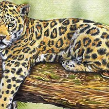 Схема вышивки «рисунок»