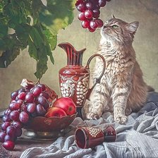 Схема вышивки «№2143324»