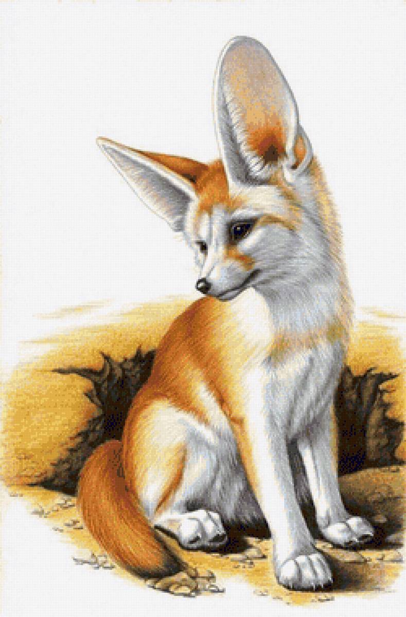 Fox dmc - fox dmc - предпросмотр