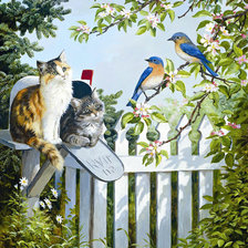 Схема вышивки «котята по почте»