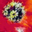 Предпросмотр схемы вышивки «Акварельные маки» (№2143860)