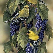 Схема вышивки «птицы»