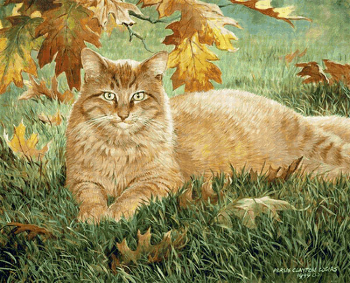 №2144252 - листья, осень, кот - предпросмотр