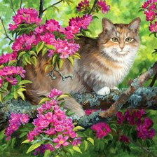 Схема вышивки «№2144254»