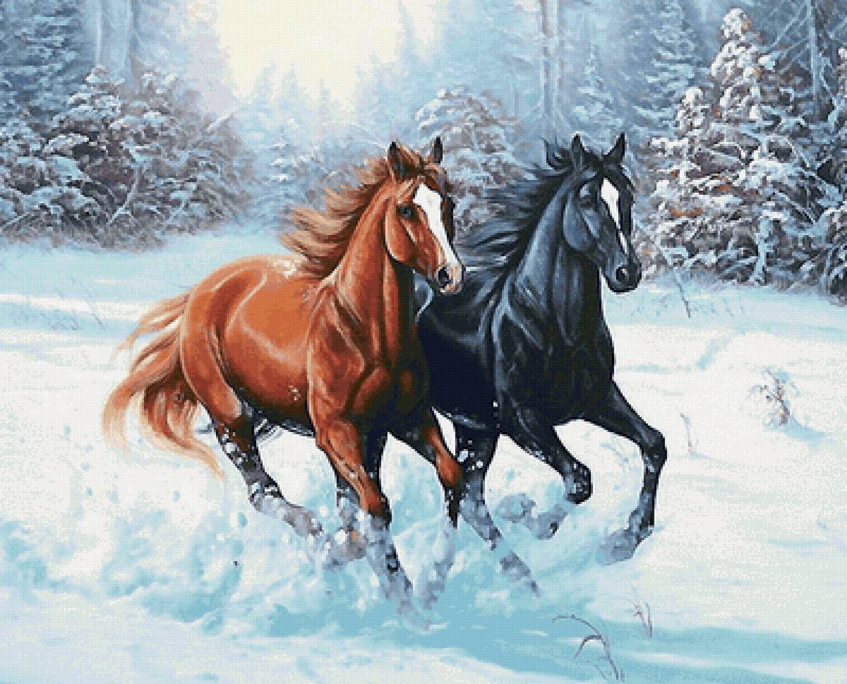 пара лошадей - предпросмотр