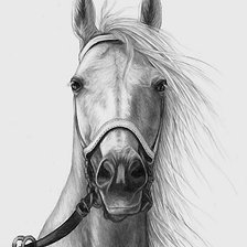 Схема вышивки «конь»