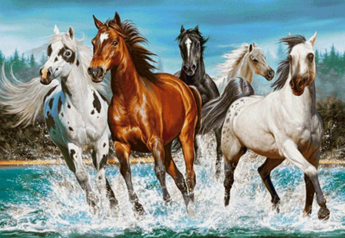 великолепная пятёрка - предпросмотр