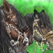 Схема вышивки «пара лошадей»