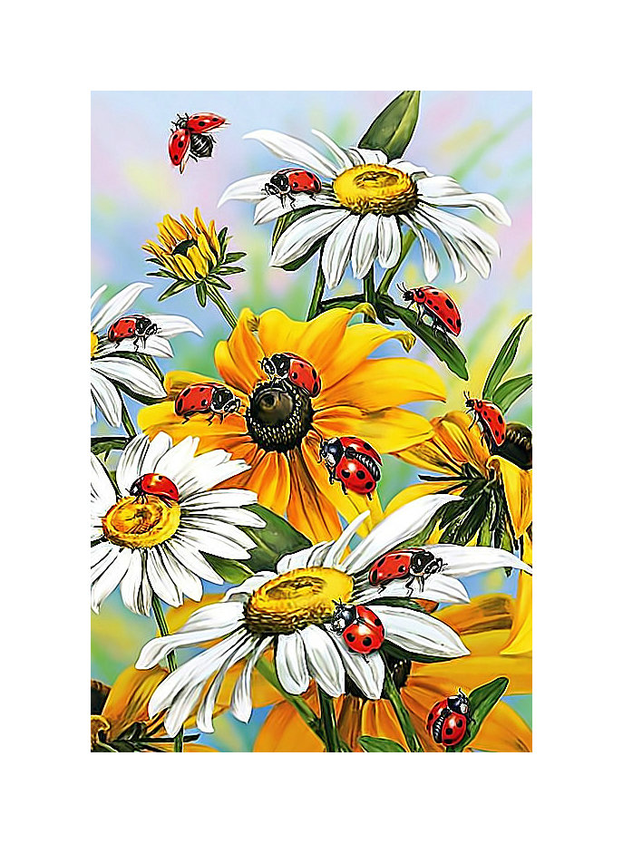 Ромашки и божьи коровкиё - цветы, живопись, божьи коровки, ромашки - оригинал