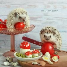 Схема вышивки «9870542»