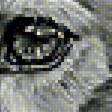 Предпросмотр схемы вышивки «Волк.» (№2144874)