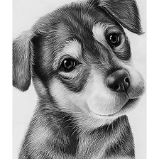 Схема вышивки «Щенок.»
