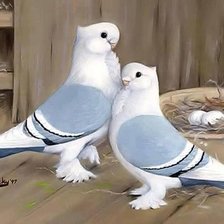 Схема вышивки «№2145020»