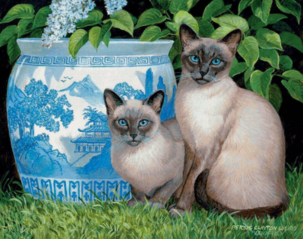 №2145139 - сиамские коты, ваза - предпросмотр
