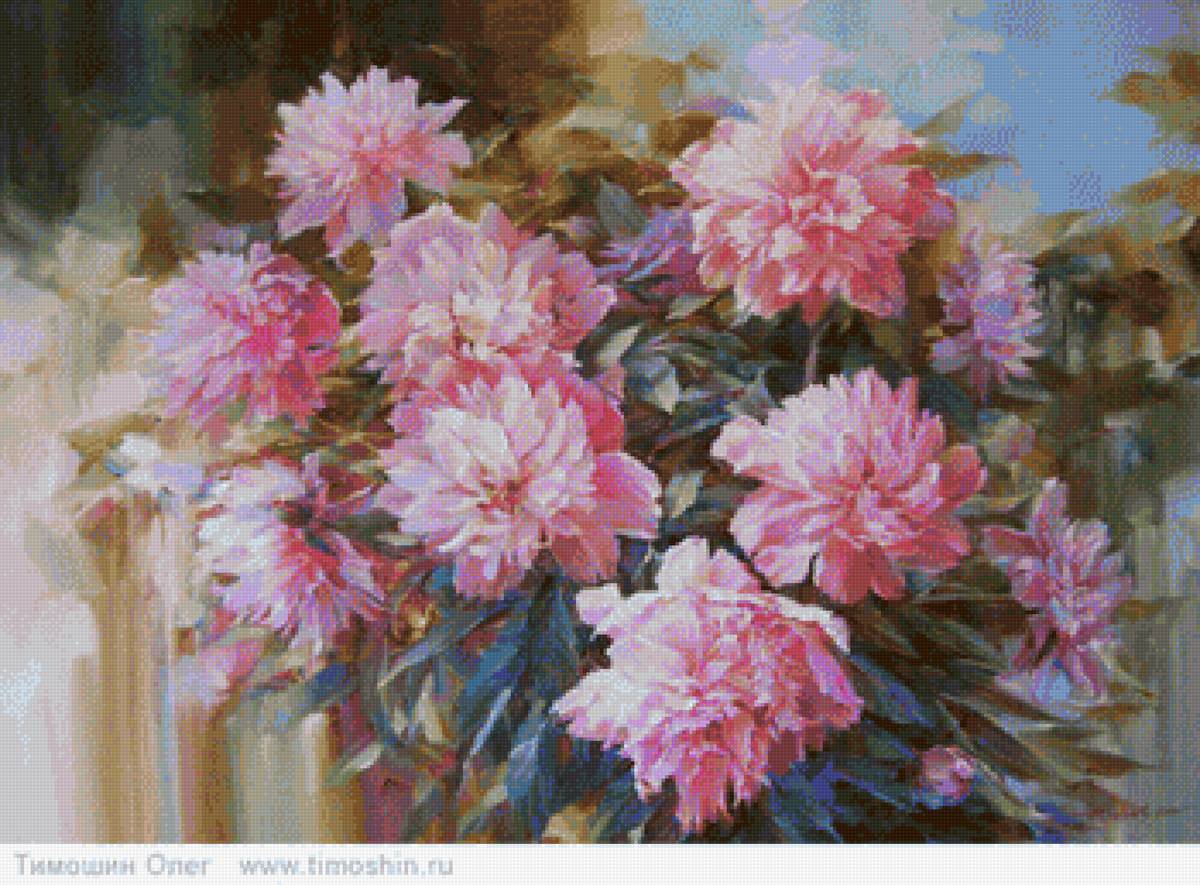 piwonie 1 - предпросмотр