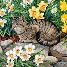 Схема вышивки «кот в нарциссах»