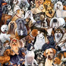 Схема вышивки «№2145306»