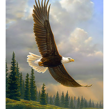 Схема вышивки «Полёт.»