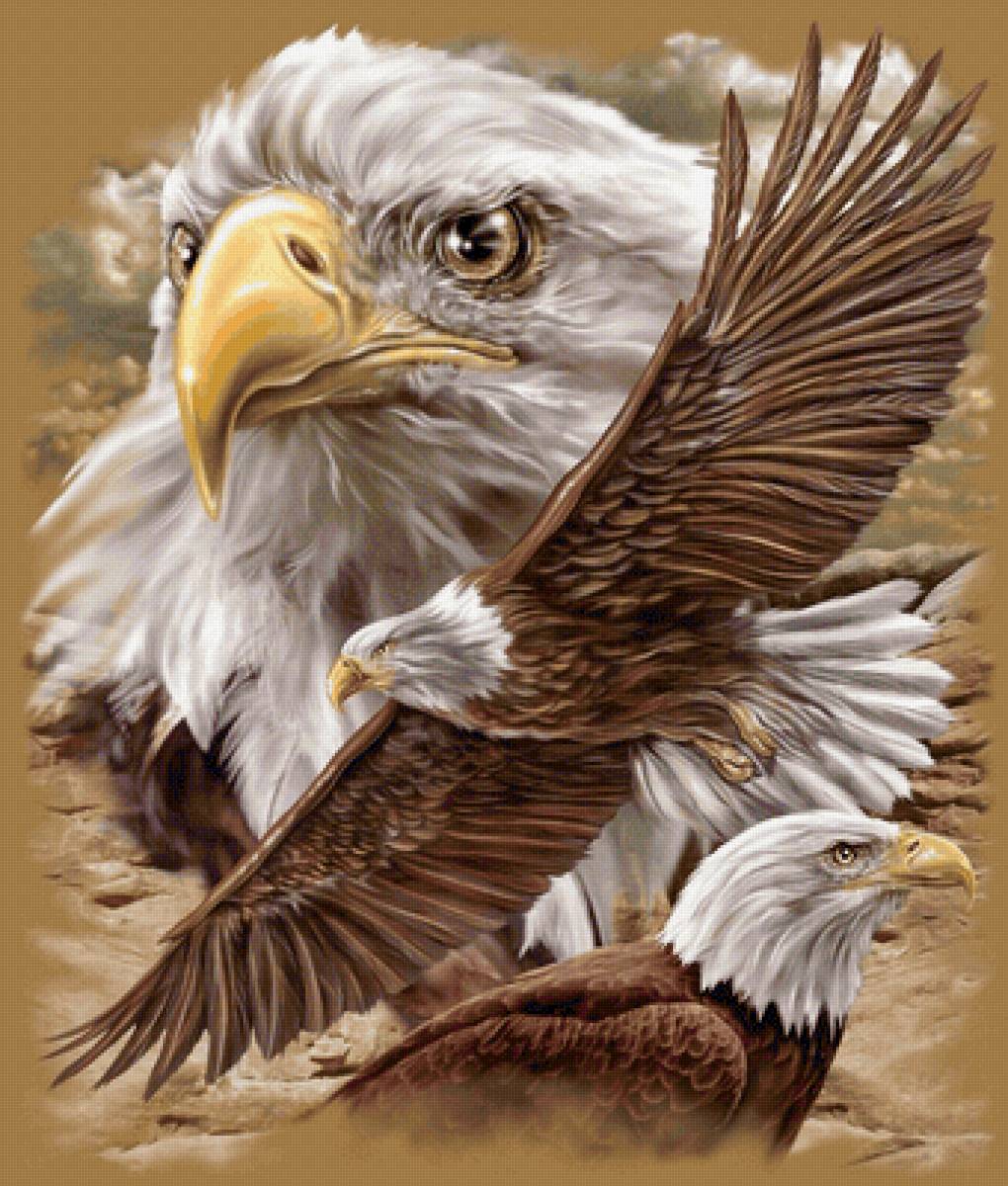 №2145542 - предпросмотр