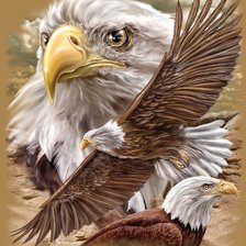 Схема вышивки «№2145542»