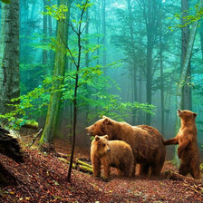 Схема вышивки «№2145580»