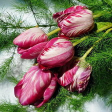 Схема вышивки «Тюльпаны»