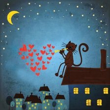 Ночные серенады2