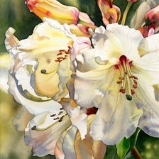 Схема вышивки «Белые лилии Marney Ward»