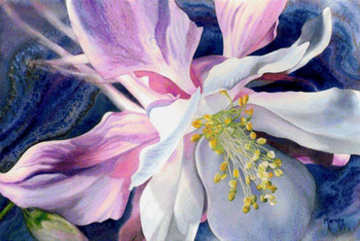 Дикая орхидея Marney Ward - орхидея - предпросмотр