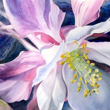 Схема вышивки «Дикая орхидея Marney Ward»