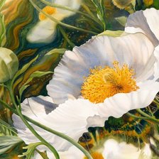 Схема вышивки «Белый мак Marney Ward»