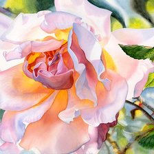 Схема вышивки «Роза Royal Sunset, Marney Ward»