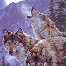 Схема вышивки «дикие»