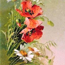 Схема вышивки «№2145855»