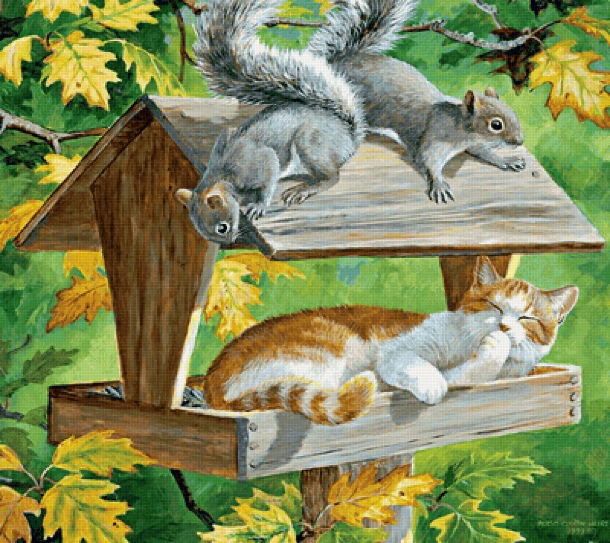 №2146260 - кот, белки, кормушка - предпросмотр