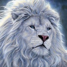 Схема вышивки «дикие»