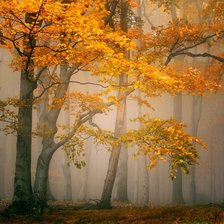 Схема вышивки «Осень»