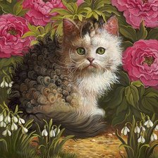 ПУШИСТОЕ ЧУДО