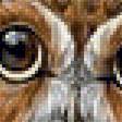 Предпросмотр схемы вышивки «Совы» (№2146920)