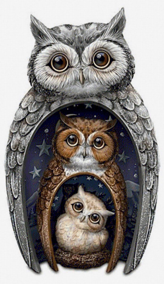 Совы - совы, птицы - предпросмотр